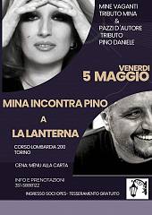 Mina incontra pino